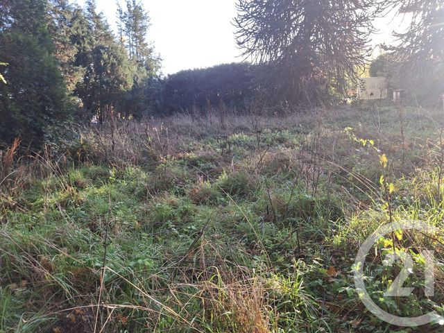 maison à vendre - 8 pièces - 254.0 m2 - PISCOP - 95 - ILE-DE-FRANCE - Century 21 Osmose