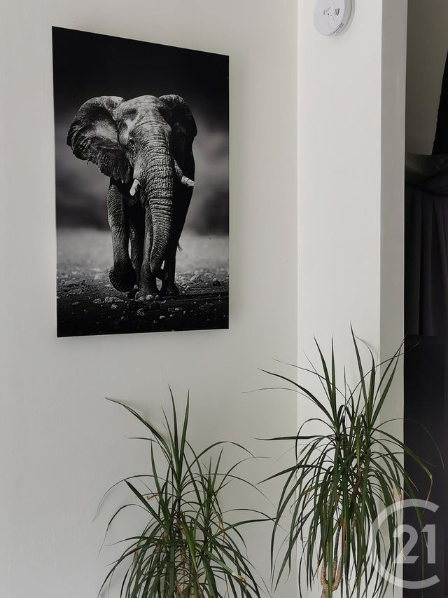 Afficher la photo en grand Appartement F2 à vendre - 2 pièces - 38.5 m2 - MAFFLIERS - 95 - ILE-DE-FRANCE - Century 21 Osmose